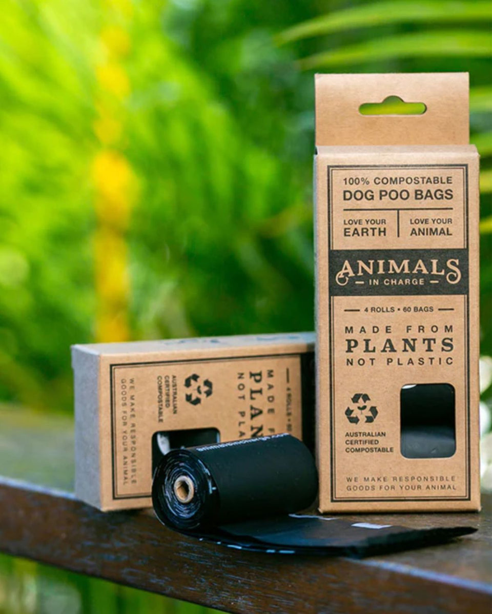 Animals in Charge