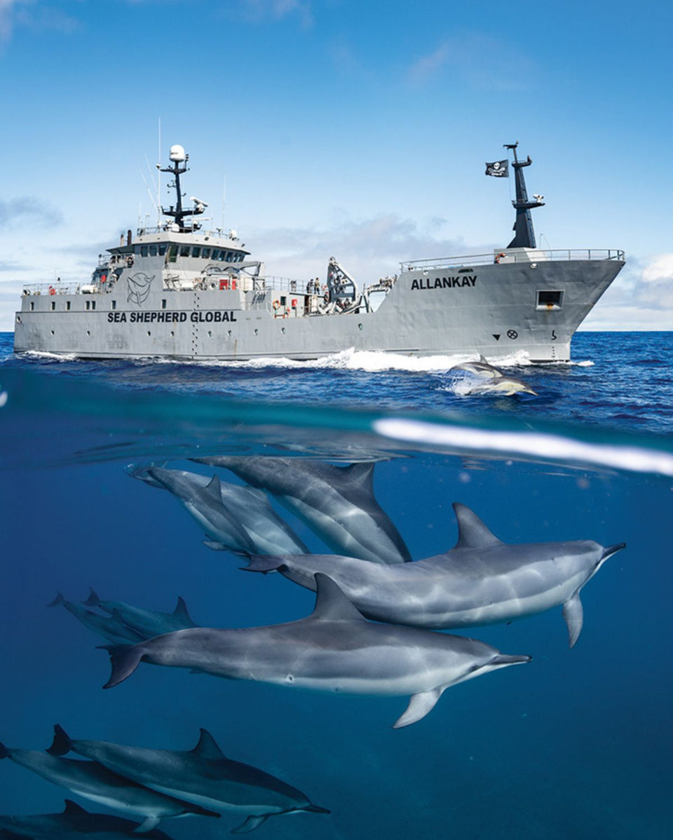 Sea Shepherd Australia