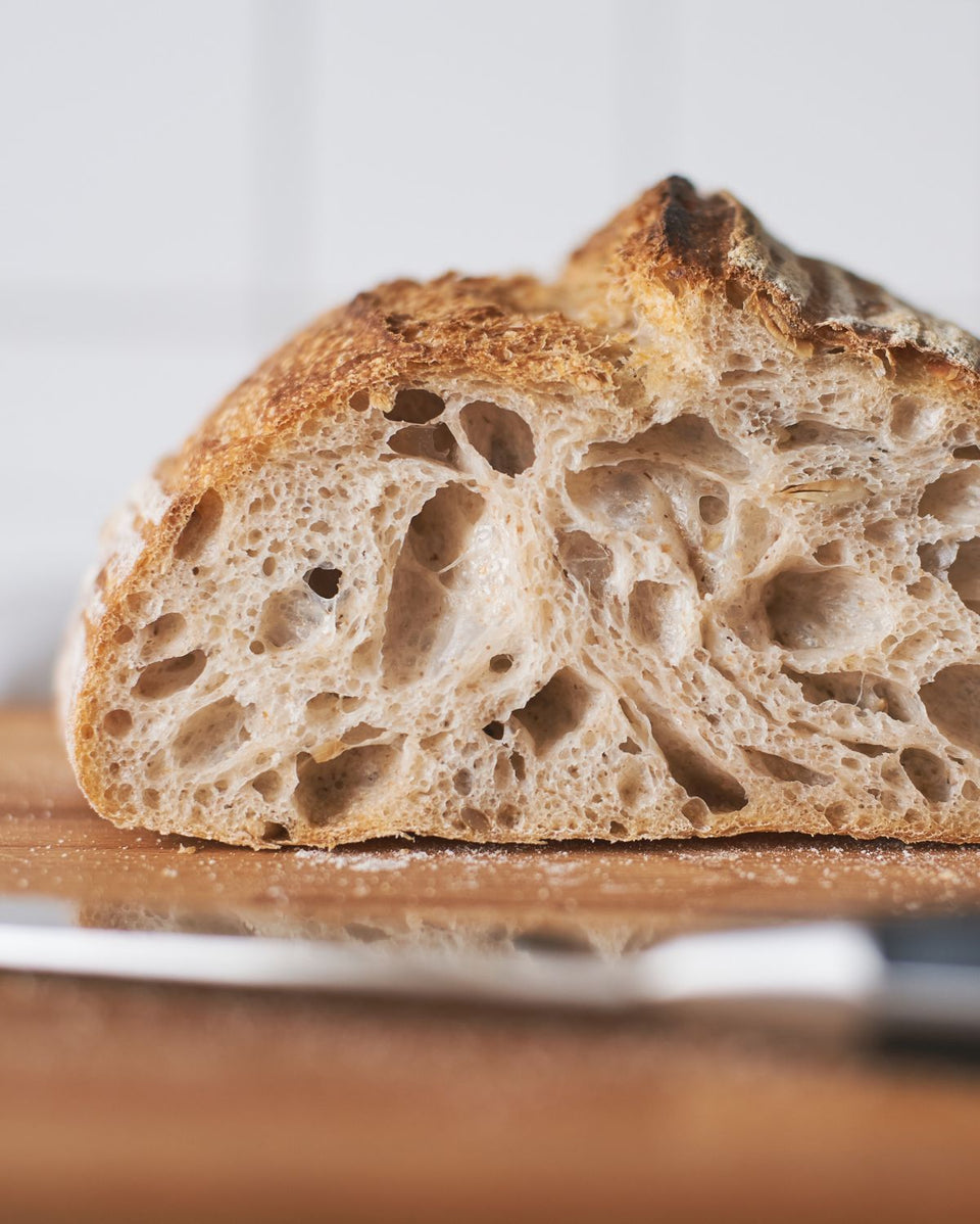 Sourdough Starter